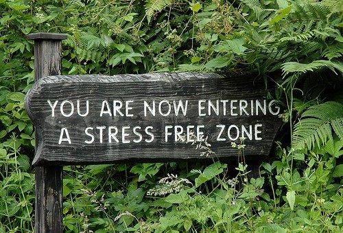 stress-zone.jpg