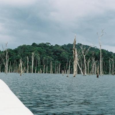 Expédition en Guyane