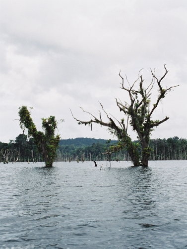 Guyane