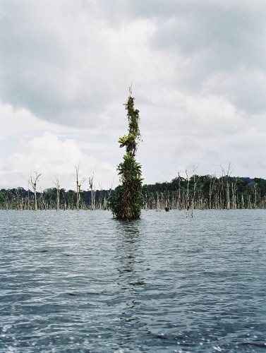 Guyane