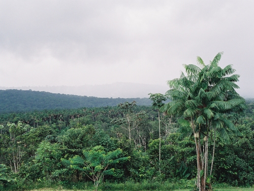 Guyane