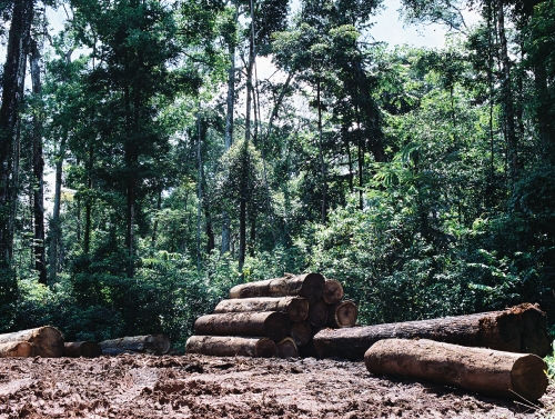 Guyane