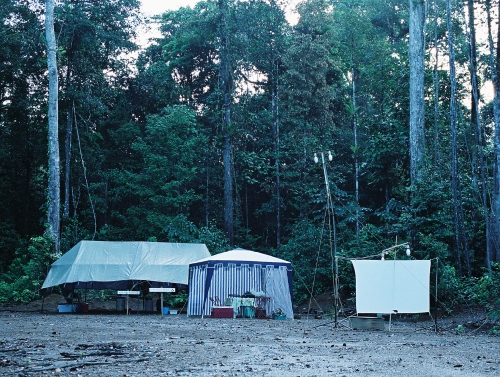 Guyane