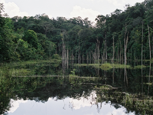 Guyane