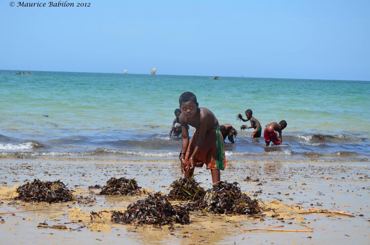 Plage d'Ifaty sud de Madagascar
