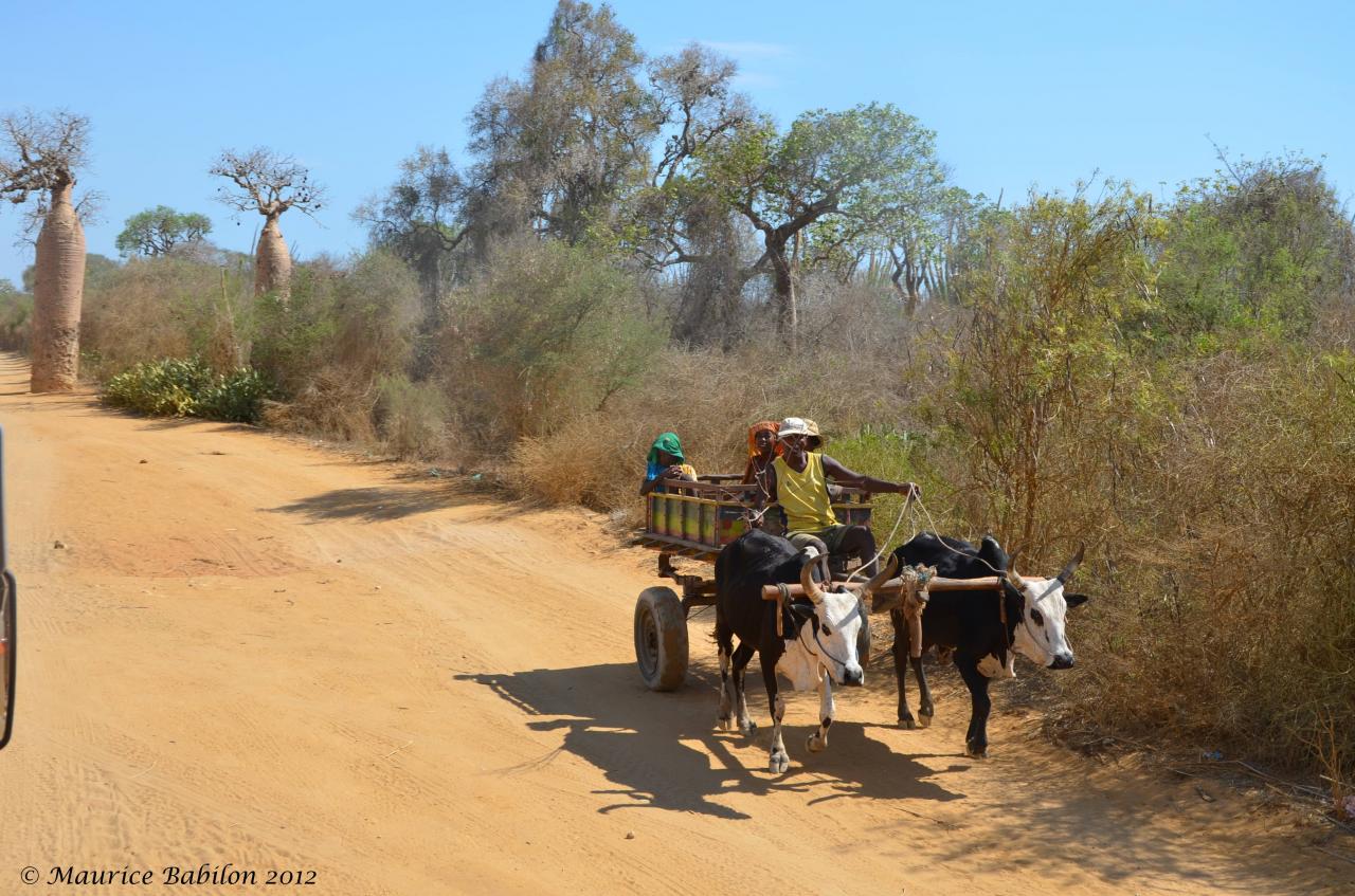 Carnet Transports à Madagascar