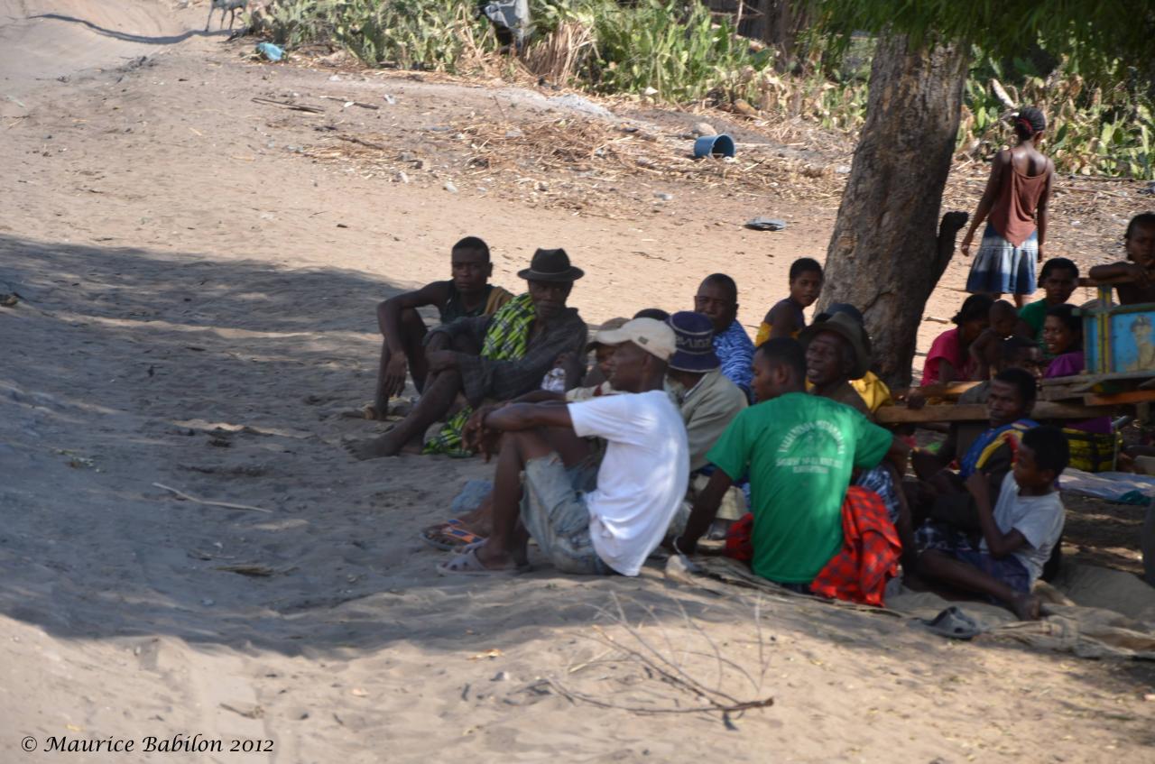 Réserve de Reniala dans le Sud Est de Madagascar