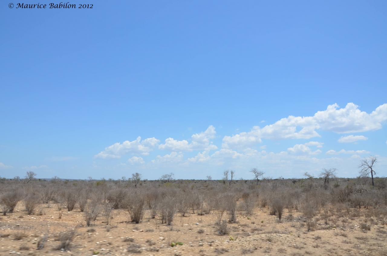 En direction de Tuléar ( Toliara )