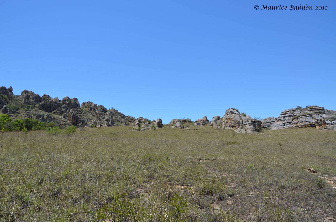 Sortie trekking dans le parc de l'Isalo