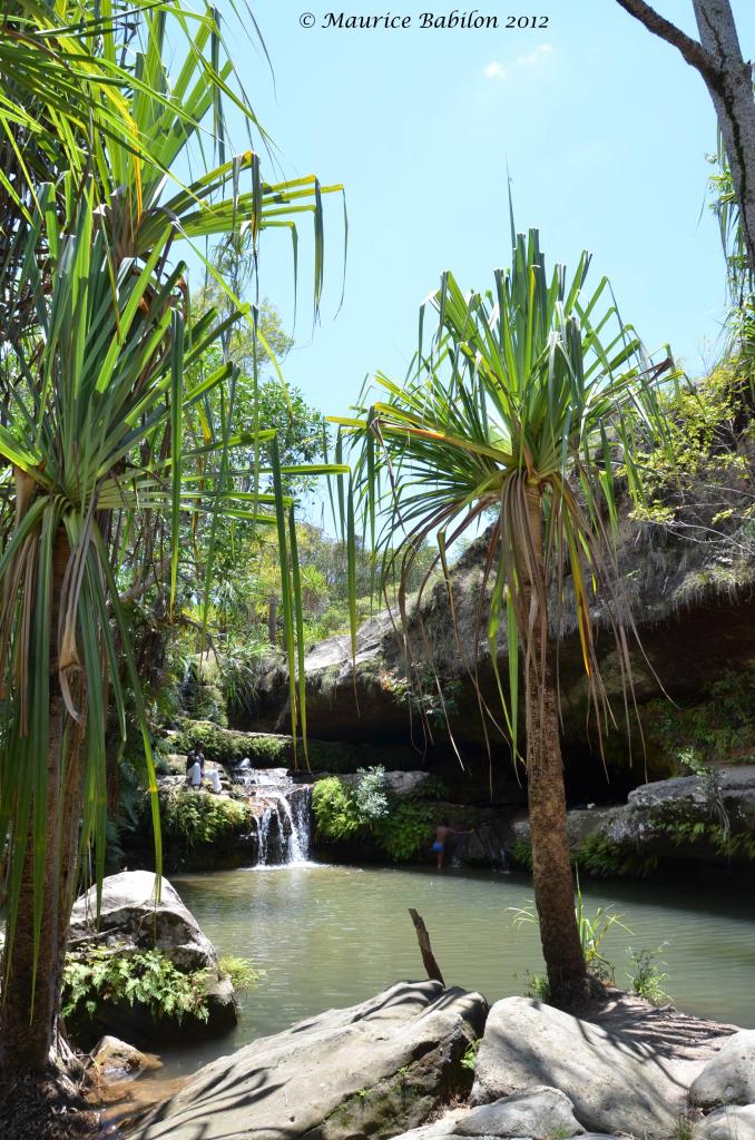 Sortie trekking dans le parc de l'Isalo