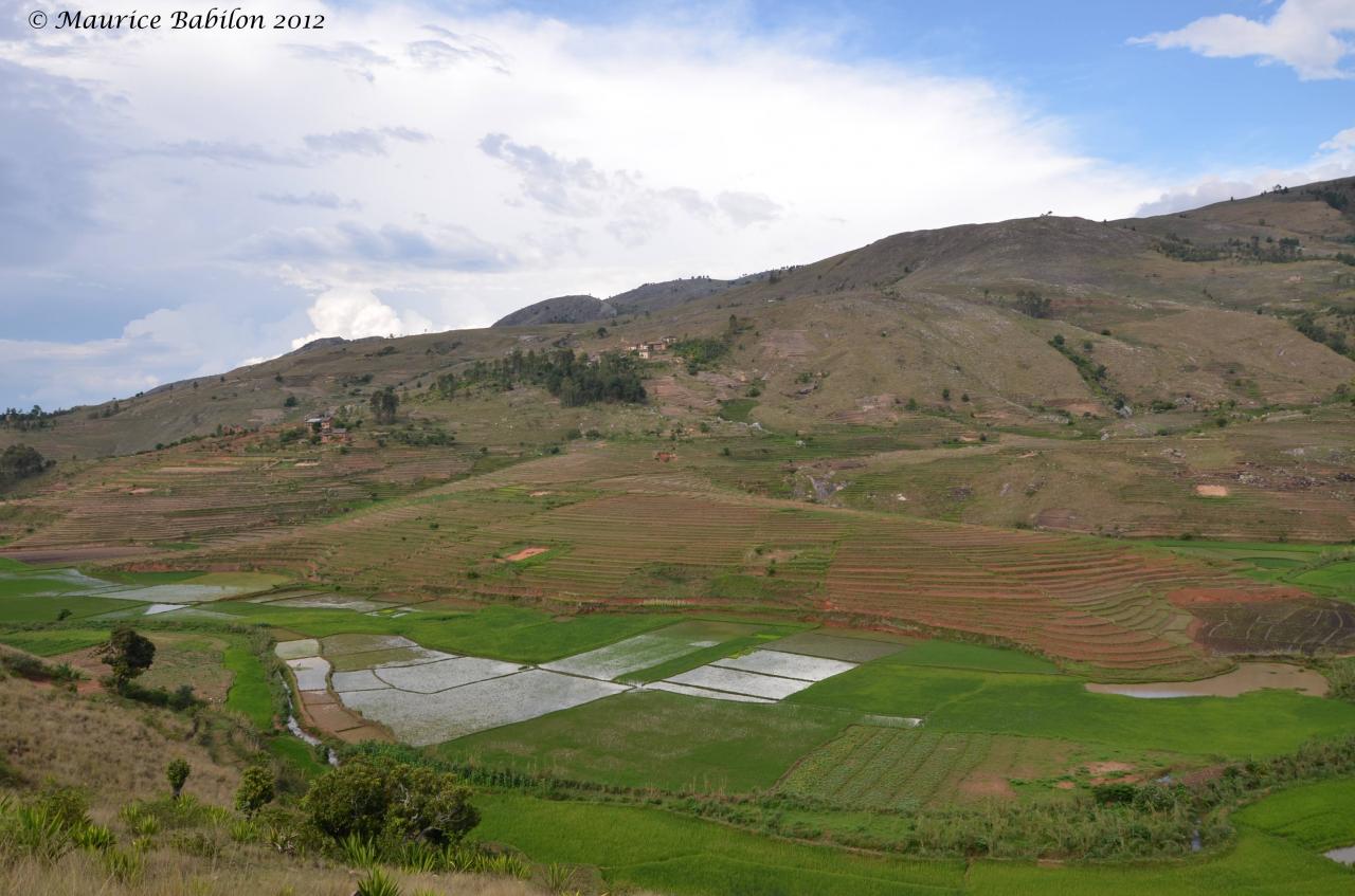 Sur la route vers la ville de Fianarantsoa , nationale 7