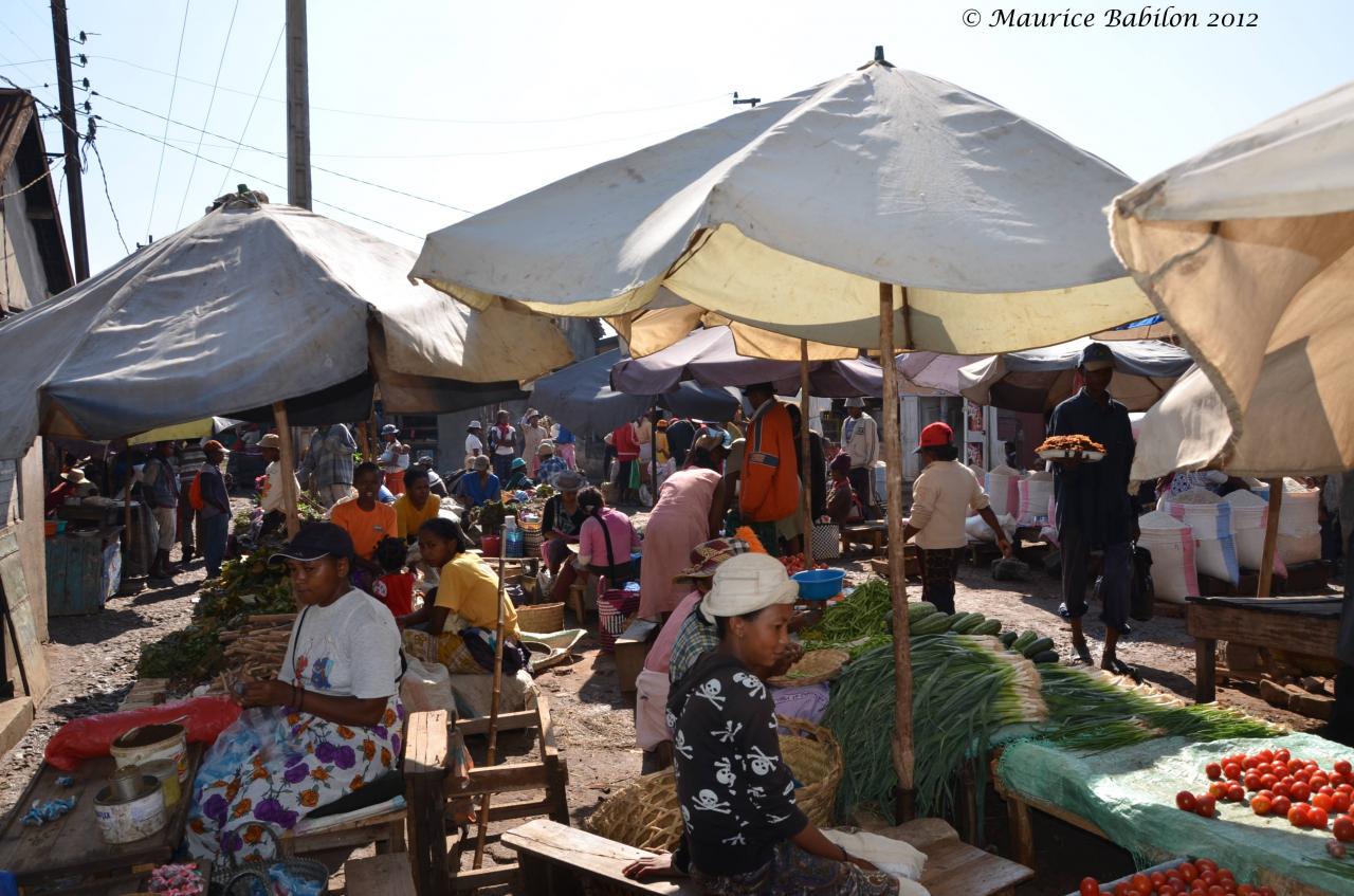 Visite et achats au marché de Fianarantsoa