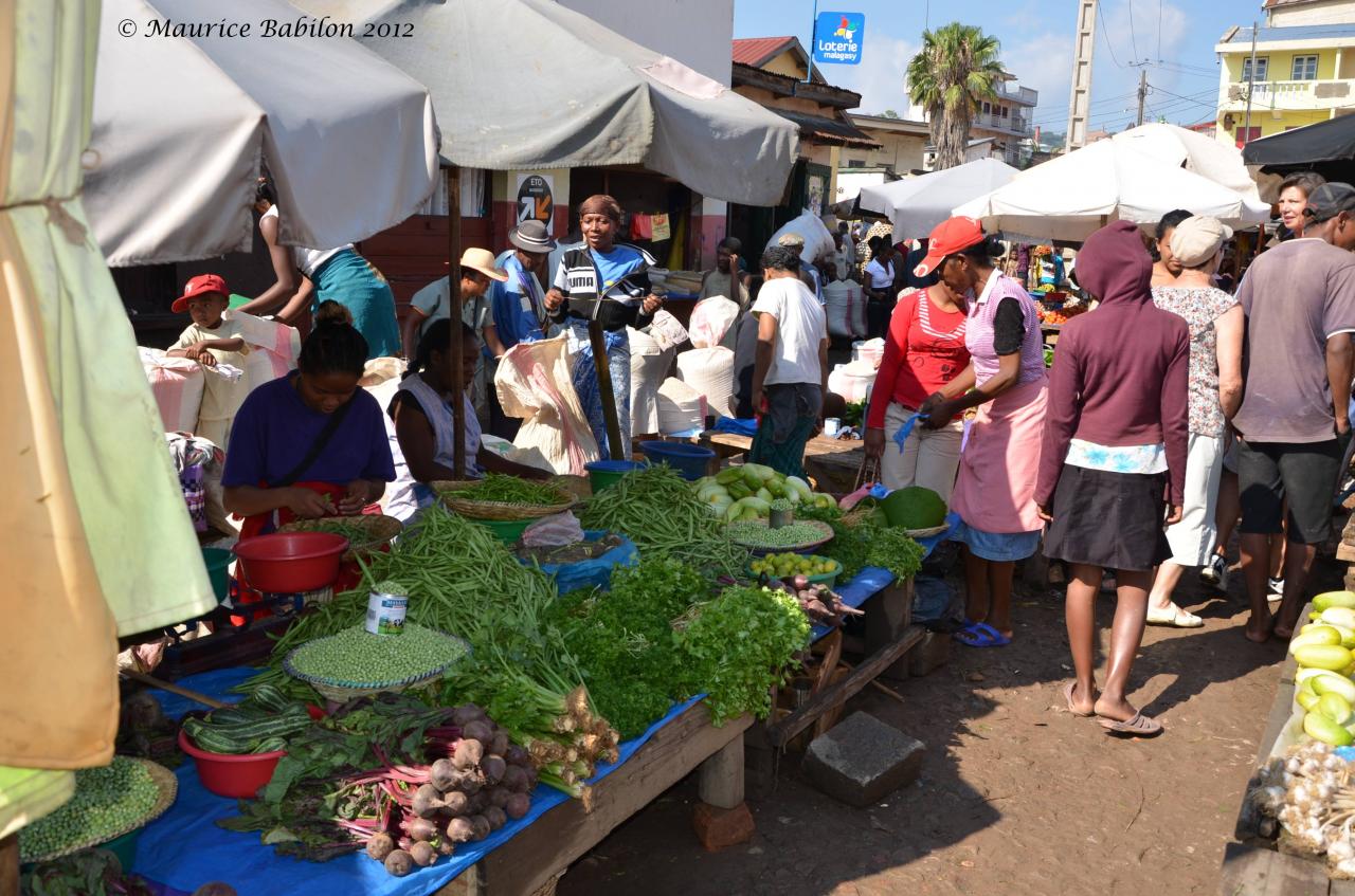 Visite et achats au marché de Fianarantsoa
