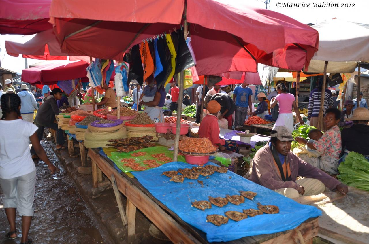 Visite et achats au marché de Fianarantsoa