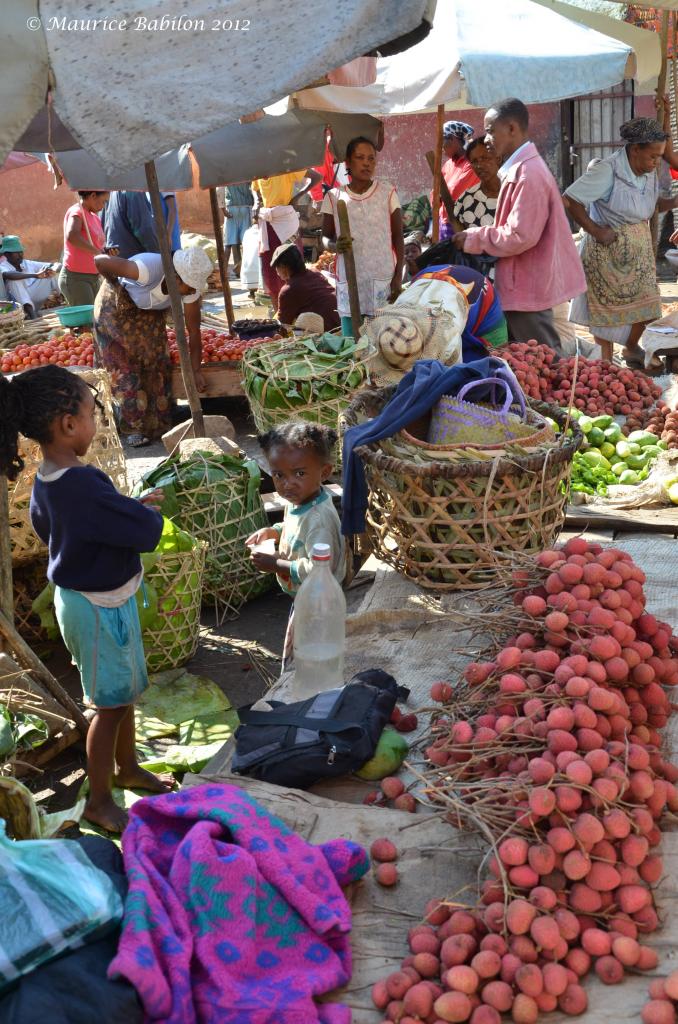 Visite et achats au marché de Fianarantsoa