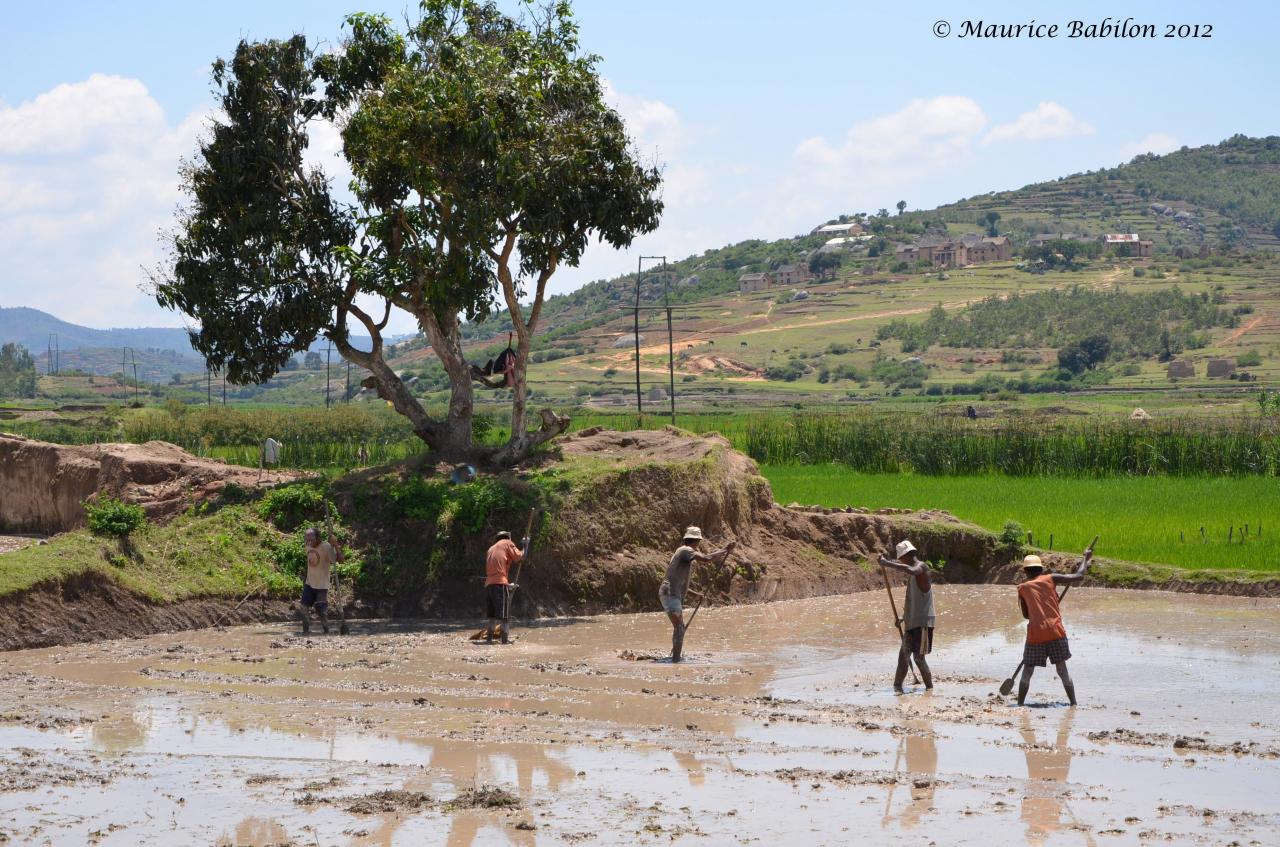 Region de Manakara 