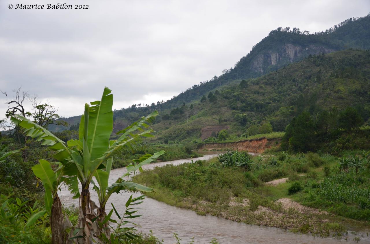 Région de Ranomafana , Sud de Madagascar