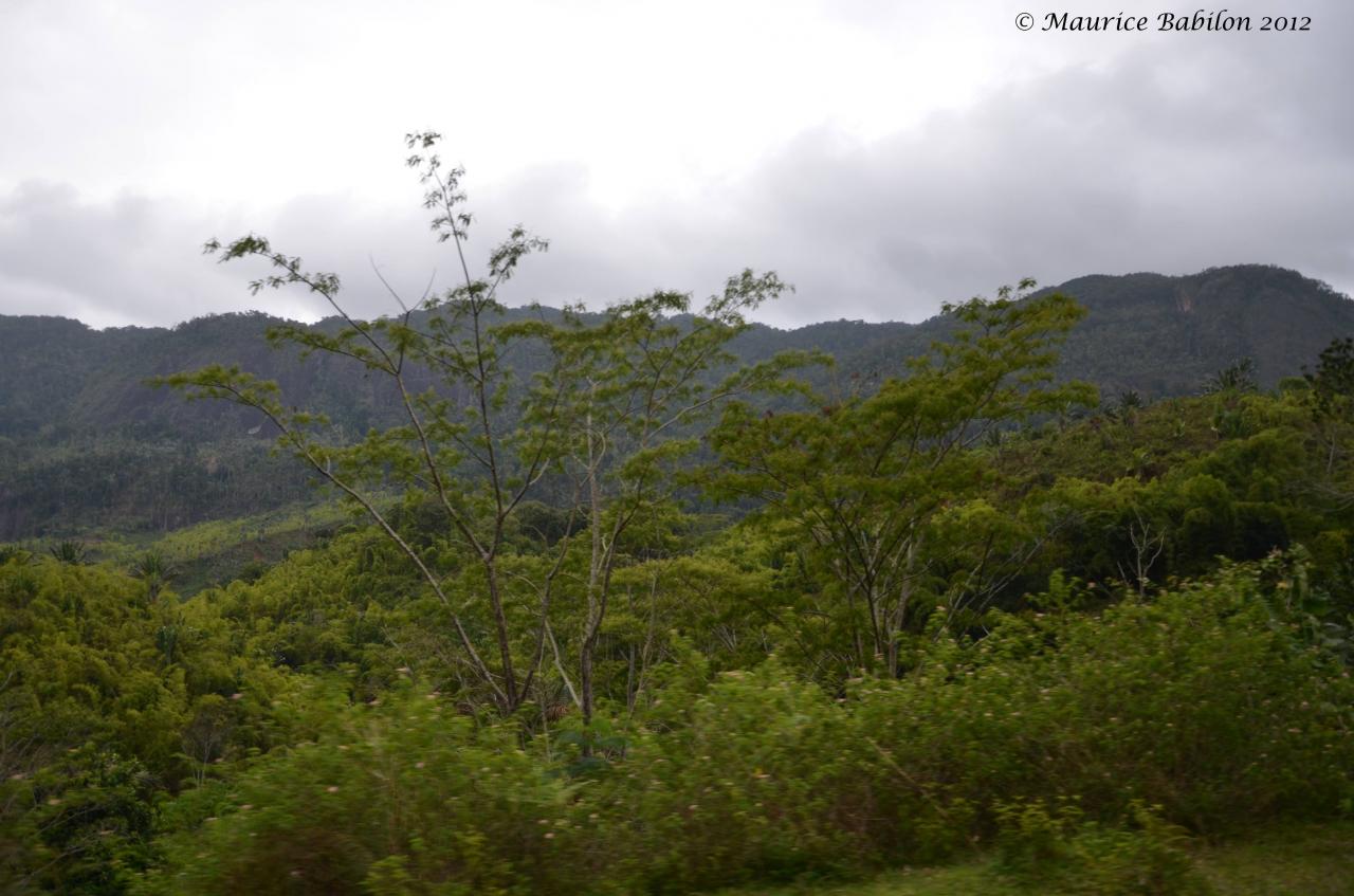 Direction le parc de Ranomafana au relief très accidenté