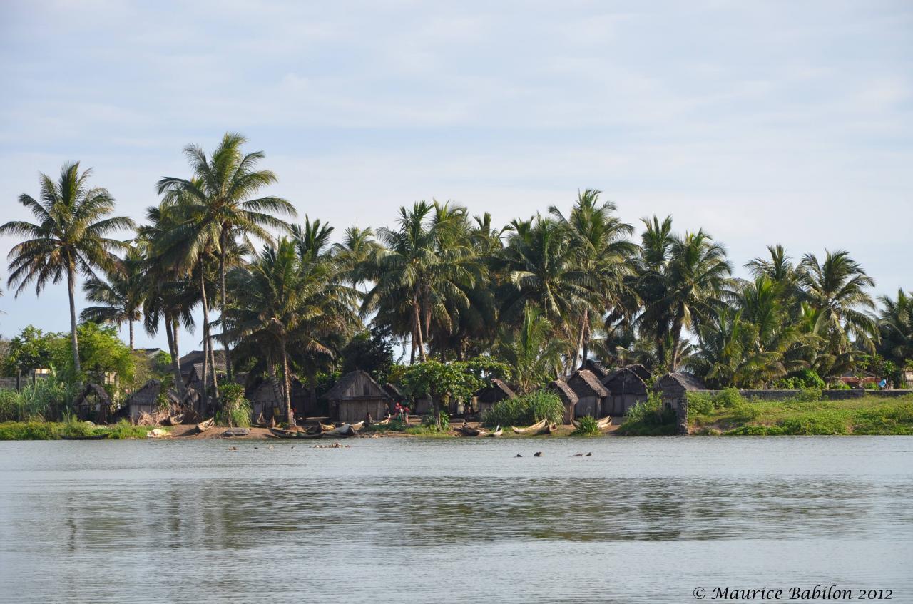 Région de Manakara , vers le canal des Pangalanes