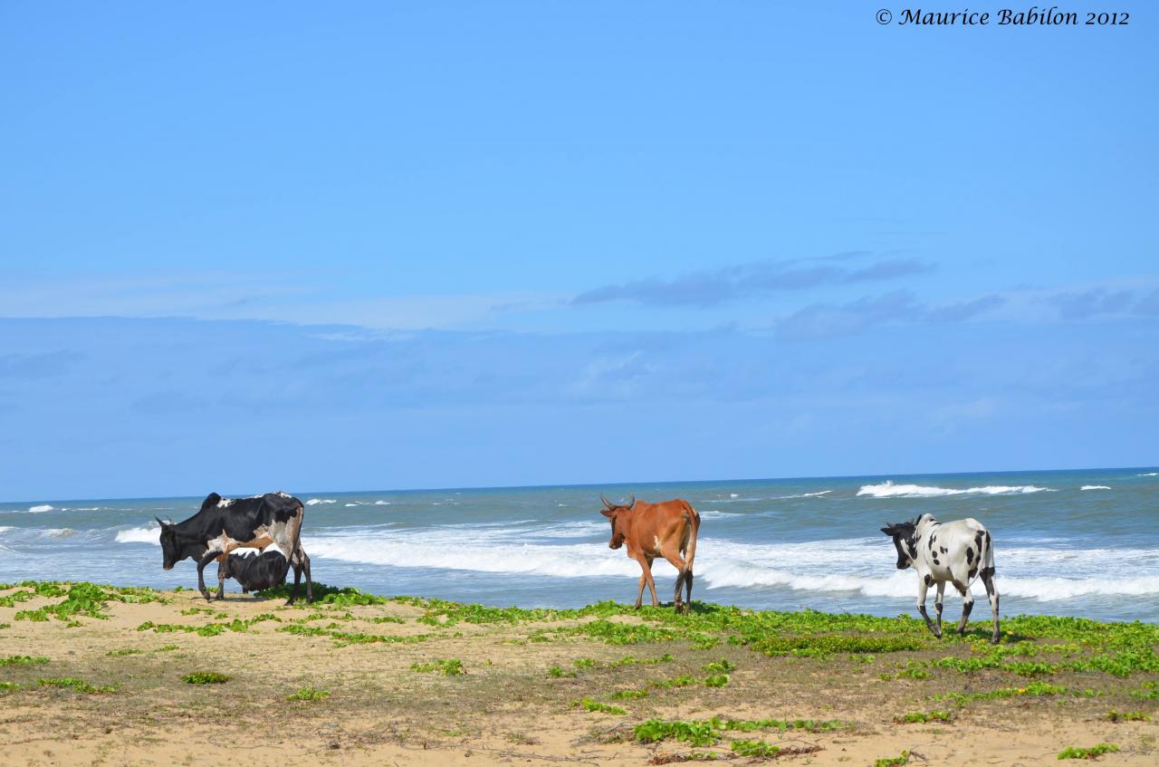 Océan Indien , région de Mananjary
