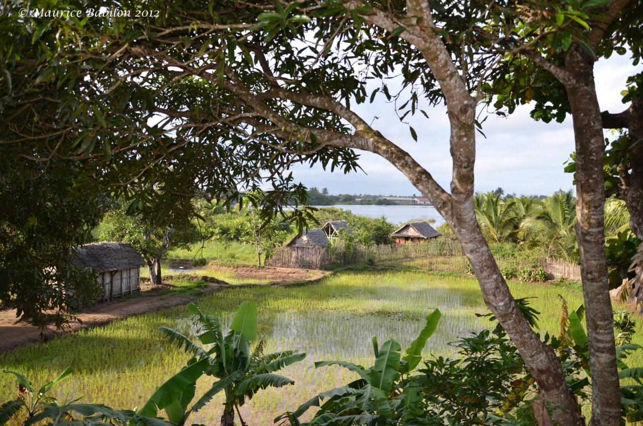 Sud-est de Madagascar 