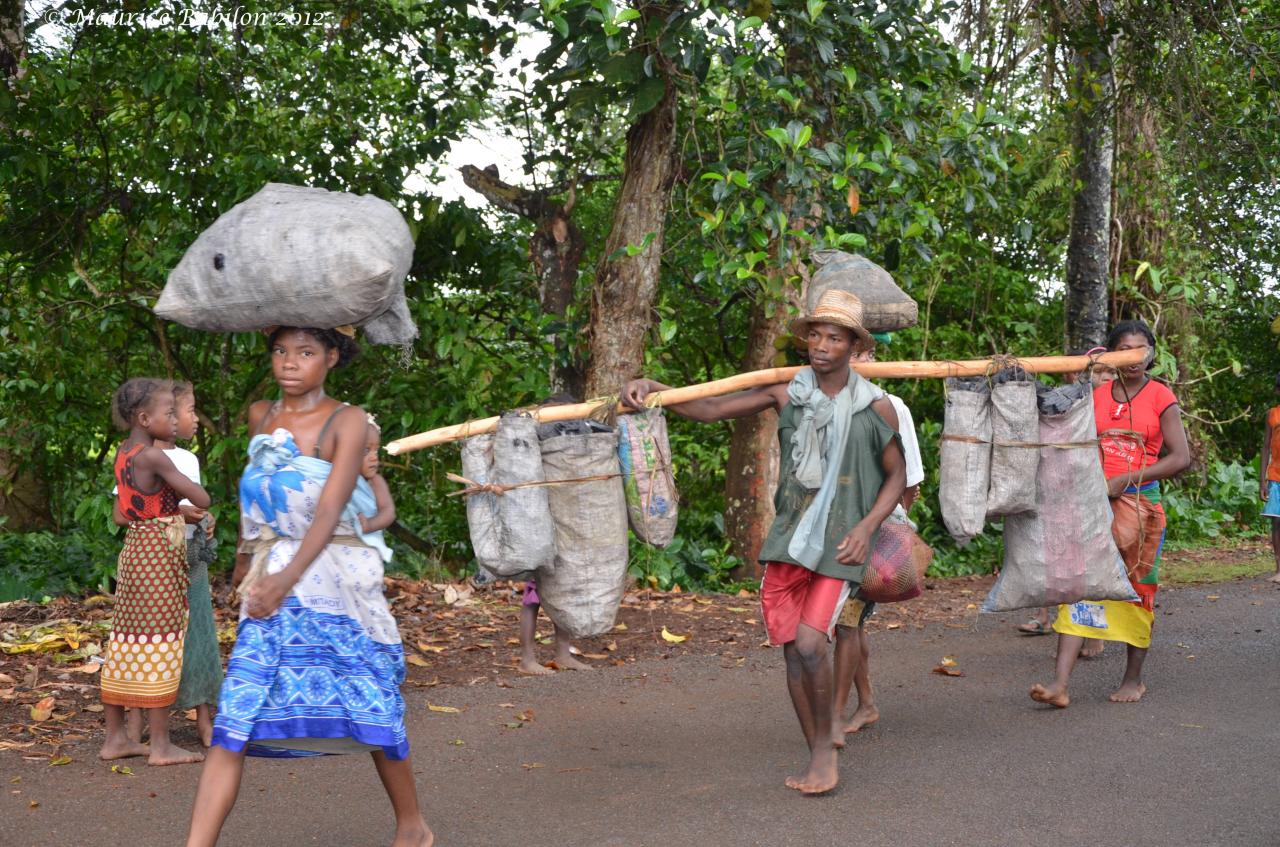 Région de Ivato , direction  Antananarivo