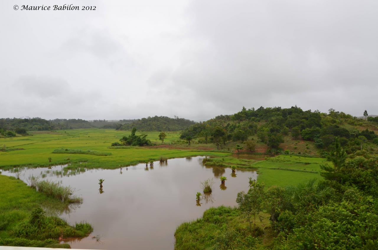 Région de Ambositra