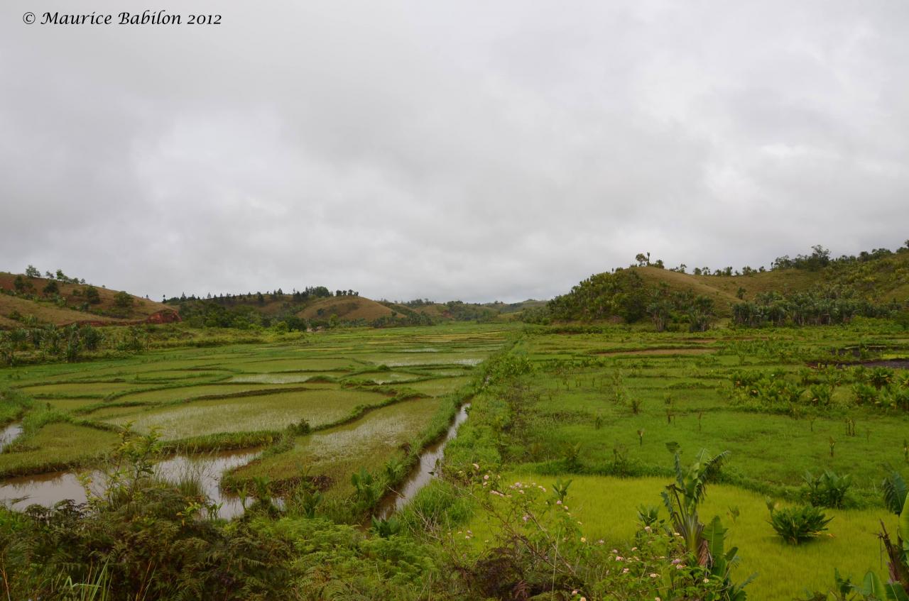 Région de Ambositra