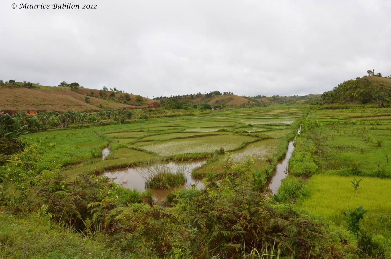 Région de Ambositra