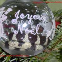 Carte de Noël 2005