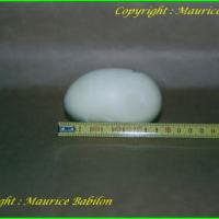 Oeuf de Molure