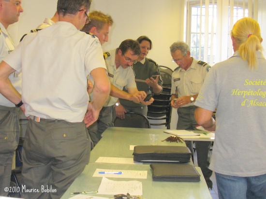 Formation NAC's pour le CNFPT , Brigade Verte du Haut-Rhin , les 5 et 6 Octobre 2010 à Soultz