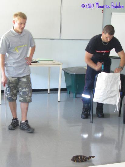 Formation NAC's aux Sapeurs Pompiers , SDIS de Belfort  le 05.06.2010