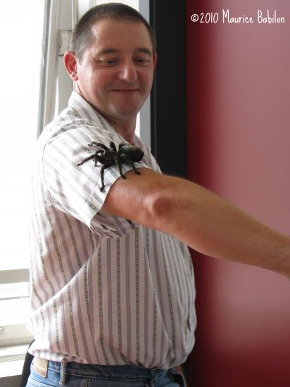 Formation NAC's : Les nouveaux Animaux de compagnie - FCO Police , CNFPT à Colmar