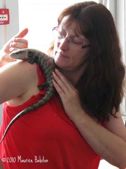 Formation NAC's : Les nouveaux Animaux de compagnie - FCO Police , CNFPT à Colmar