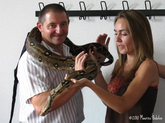 Formation NAC's : Les nouveaux Animaux de compagnie - FCO Police , CNFPT à Colmar